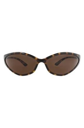 Balenciaga 83mm Oval Sunglasses in Havana Havana Brown at Nordstrom Rack