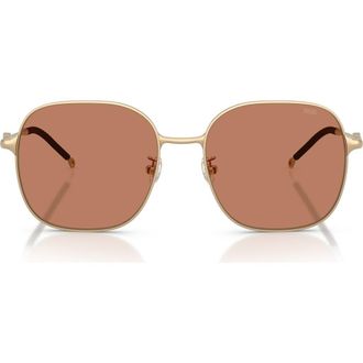Diesel 55mm Square Sunglasses in Matte Gold /Brown at Nordstrom