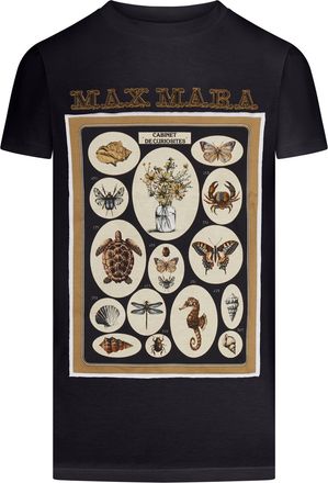 Max Mara COTTON JERSEY T-SHIRT WITH PRINT - Max Mara - Woman