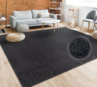 Paco Home Paco Home - Alfombra Sal&oacute;n Color Liso Discreta Moderna Pelo Corto Varios Colores Y Tama&ntilde;os Negro, &Oslash; 160 Cm Redon
