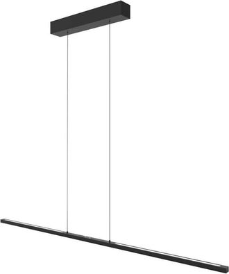 Steinhauer Steinhauer - L&aacute;mpara Colgante - Bande - Negro - Metal - L&aacute;mpara