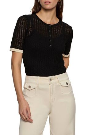Sanctuary Going Place Pointelle Sweater in Black at Nordstrom, Size X-Small