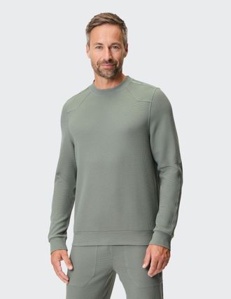 Joy Sweatshirt JOY SPORTSWEAR VINCENT, Herren, Gr. 52, gr&uuml;n (grape leaf), Obermaterial: 80% Polyester, 14% Lyocell, 6% Elasthan, Sweatshirts Sweatshirt