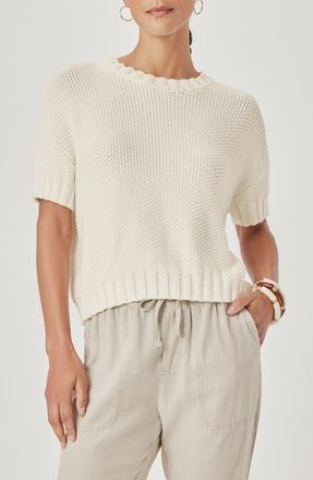 Splendid Annmarie Cotton Sweater in Shell White at Nordstrom, Size X-Small