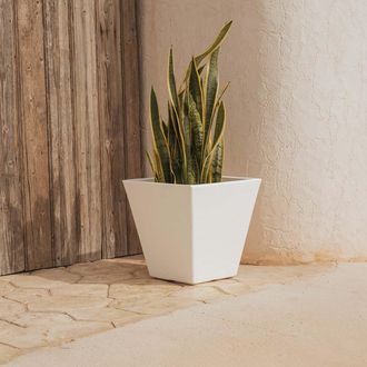 OEM Camomila R&uacute;stica Macetero Cuadrado De Interior Y Exterior Para Plantas Y Flores Muy Resistente Al Paso Del Tiempo. Hecho De Polietileno En Espa&ntilde;a - Bl