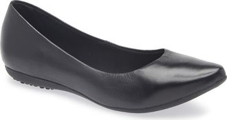 Bottero Botdogs Ballet Flat in Preto at Nordstrom, Size 11