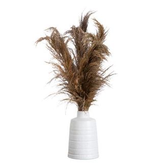 Nearly Natural 30-in Dried Natural Pampas Arrangement in Ceramic Vase in Green at Nordstrom