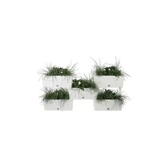 Bama Kit Jardineras Modulares brick Kit 5 Pzas - Color Gris