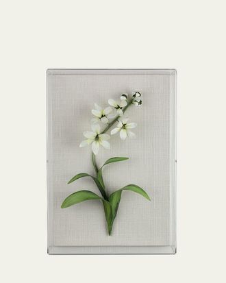 Tommy Mitchell Freesia March Birth Flower Wall Art
