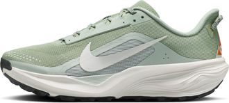 Nike x ACG Pegasus Trail Jade Horizon Light Silver HV8116-310