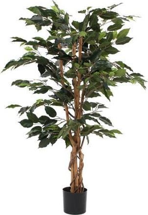 MiCa Decorations kunstplant Ficus