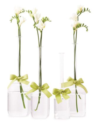 Two's Company Set Of 4 Glass Vases