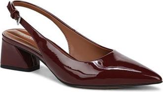 Franco Sarto Racer Slingback Pointed Toe Pump in Oxblood Red at Nordstrom, Size 7.5