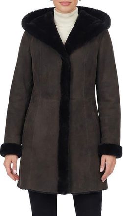 Gorski Merino Shearling Hooded Coat in Dark Brown at Nordstrom, Size X-Small