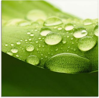 Artland Glasbild »Blatt« Zen 1 Stk. tlg. in verschiedenen Grössen