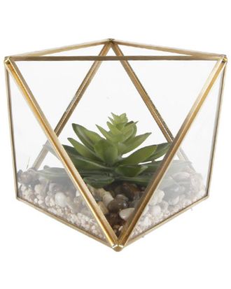 Flora Bunda Faux Succulents Garden In Squared Terrarium With Exposed Top