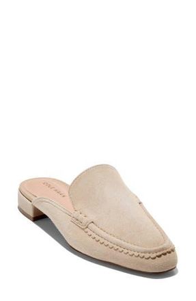 Cole Haan Pollina Apron Toe Mule in Light Sesame Suede at Nordstrom Rack, Size 6.5