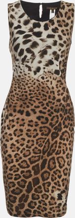 Roberto Cavalli Grey/beige Animal Printed Jersey Midi Dress