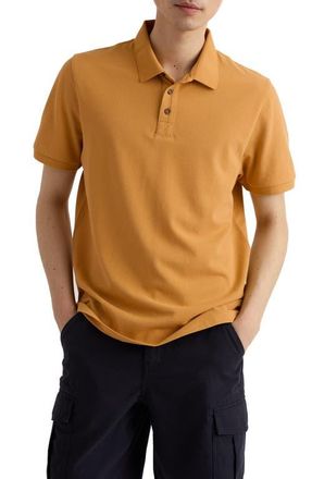 Seasalt Cornwall Balefire Organic Cotton Polo in Mustard Seed at Nordstrom, Size Xx-Large