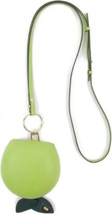 Delvaux Pre-owned Mini Bags, female, Green, Size: ONE SIZE Pre-owned Mini Shoulder Bag