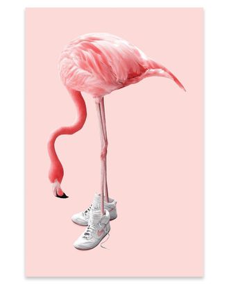 iCanvas Icanvas Sneaker Flamingo Print On Acrylic Glass By Jonas Loose
