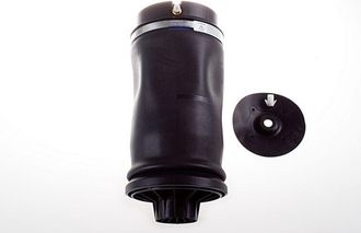 OEM Campana De Aire Trasera Dsa115g Denckermann