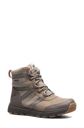 Forsake Rosie Waterproof Winter Boot in Mushroom at Nordstrom, Size 6.5
