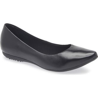Bottero Botdogs Ballet Flat in Preto at Nordstrom, Size 11