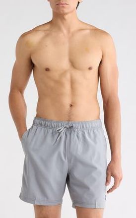 Speedo Redondo Edge Volley Swim Trunks in Gray at Nordstrom Rack, Size Xx-Large