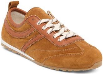 Dolce Vita Viper Sneaker in Cognac Suede at Nordstrom, Size 6.5