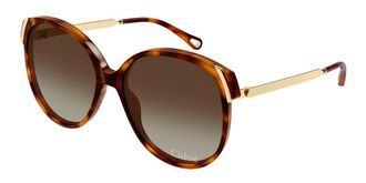 Chloé CH0285S 002 Womens Sunglasses Tortoiseshell Size 58