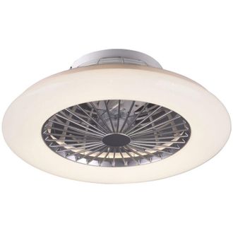 Reality Reality Leuchten - Trio Lighting Stralsund Ventilador De Ara&ntilde;a Led Regulable De Aluminio
