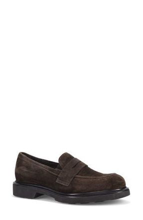 Ron White Amara Penny Loafer in Espresso at Nordstrom Rack, Size 10Us / 41Eu