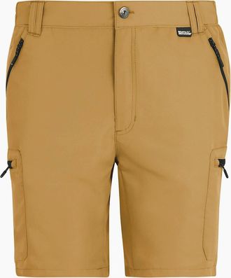 Regatta Mens Regatta Mens Leesville III Shorts - Brown - Size: 32/32