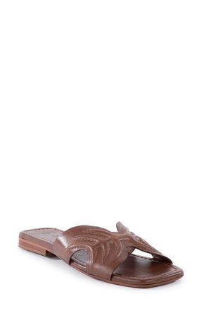 Seychelles Madhu Slide Sandal in Brown at Nordstrom, Size 6.5