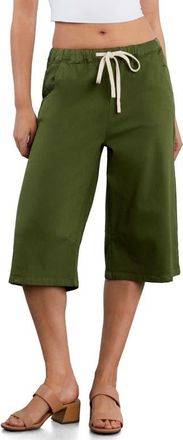HINT OF BLU Relaxed Drawstring Denim Jorts in Vineyard Green at Nordstrom, Size X-Large