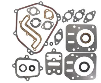 OEM Juego Juntas Motor Briggs Et Stratton 791797