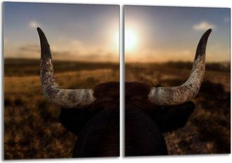 OEM Placa Protectora De Vidrio Para Estufa 2x40x52 Sol