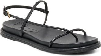 Dolce Vita Dom Strappy Sandal in Black Leather at Nordstrom, Size 8.5