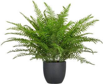 Creativ Green Kunstpflanze