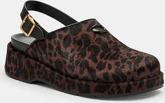 Coach Sculpted C Platform Clog With Leopard Print