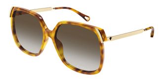 Chlo&eacute; CH0286S 010 Womens Sunglasses Tortoiseshell Size 60