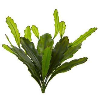 Nearly Natural 14-in Epiphyllum Cactus Artificial Plant in Green at Nordstrom