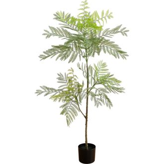 Nearly Natural 5-ft Artificial Minimalist Jacaranda Tree in Green at Nordstrom
