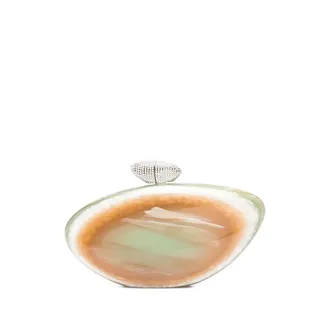 Benedetta Bruzziches Tassen, Dames, Veelkleurig, ONE Size, Salie Groene Kiss-Lock Clutch met Strass