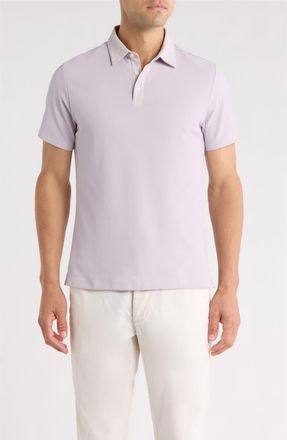 Robert Barakett Baytides Contrast Collar Polo in Lavender at Nordstrom, Size Xx-Large
