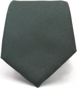 HUGO BOSS Heren, Accessoires, Groen, Maat: ONE Size Zijde