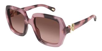 Chlo&eacute; CH0301S 007 Womens Sunglasses Tortoiseshell Size 52