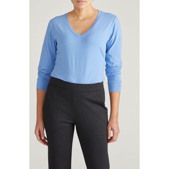 Universal Standard Long Sleeve V-Rex Tee in Seaside Blue at Nordstrom, Size 3Xl