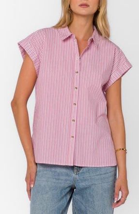 Velvet Heart Ilene Cotton Button-Up Shirt in Cosmic Pink Stripe at Nordstrom Rack, Size X-Large